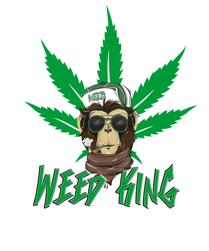 Round Neck - Mint Green